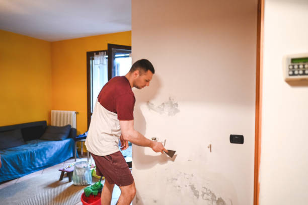 Best Residential Mold Remediation in Centreville, VA